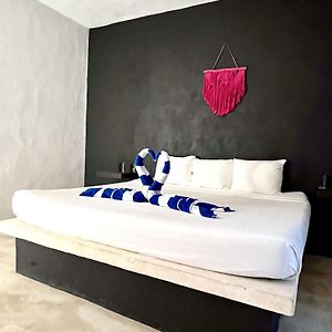 Kin studios holbox